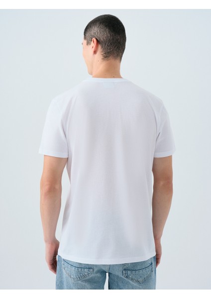 Regular Fit Erkek Tshirt K.kol