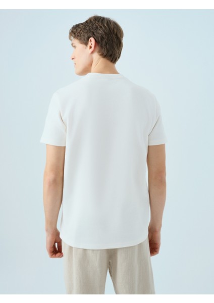 Regular Fit Erkek Tshirt K.kol modelleri