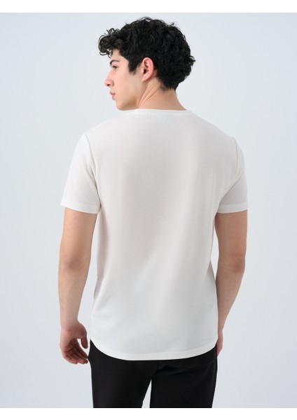 Regular Fit Erkek Tshirt K.kol