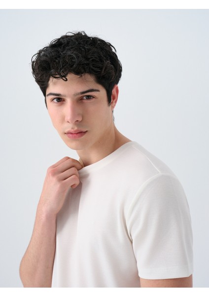 Regular Fit Erkek Tshirt K.kol