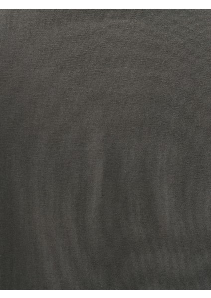 Regular Fit Erkek Tshirt K.kol