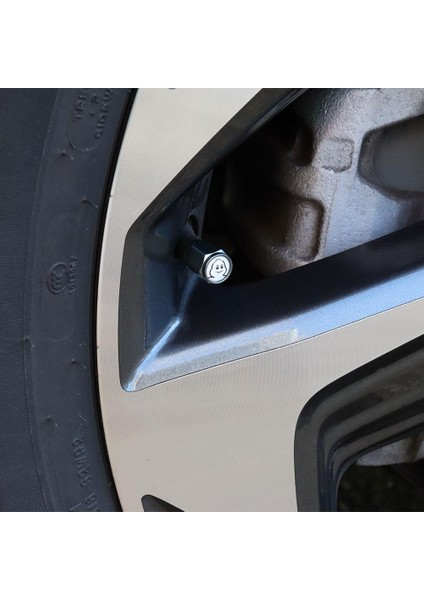 MC34273 Michelin Logolu Metal Universal Sibop Kapağı 4 Adet