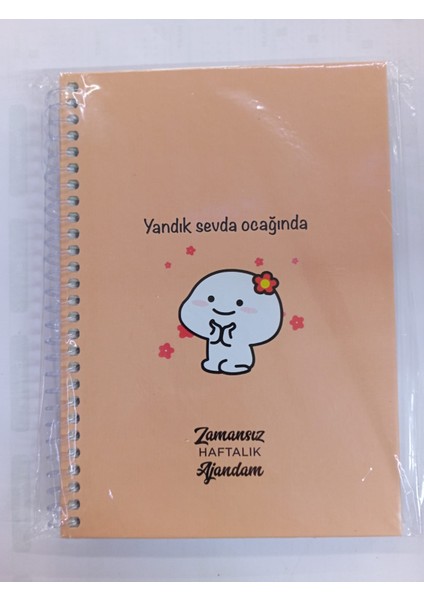 Tarihsiz Ajanda modelleri