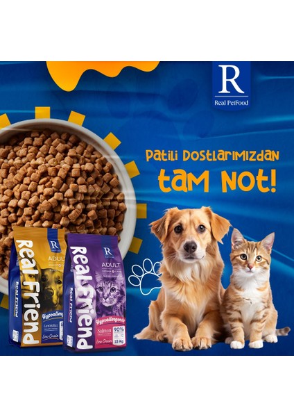 Yetişkin Kedi Maması Somonlu - Derma Care Adult Cat Food Salmon & Hypoallergenic fırsatları