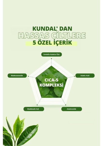 Ciltlere Vücut Bakım Misti Kundal Tea Tree Biotics Body Mist 200 ml (Apple Green Tea) indirimleri