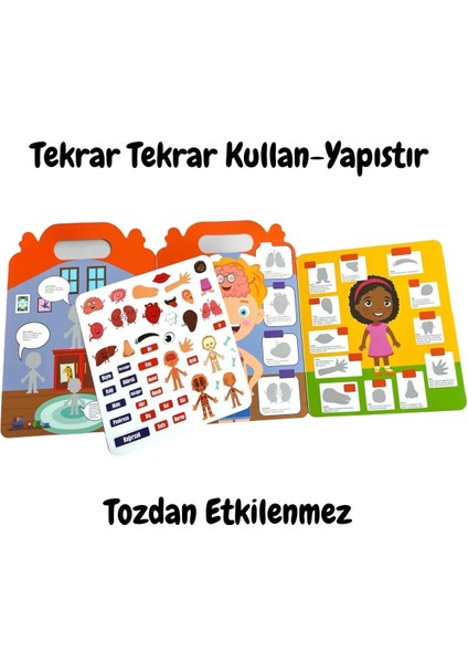 Tekrar Kullanılabilen Ilk Sticker Kitabım My Body (LS-500)