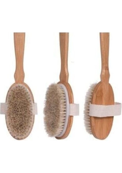 Organik Doğal At Kılı Banyo Fırçası fiyatları