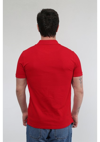 Dawn - Kirmizi Polo T-Shirt modelleri
