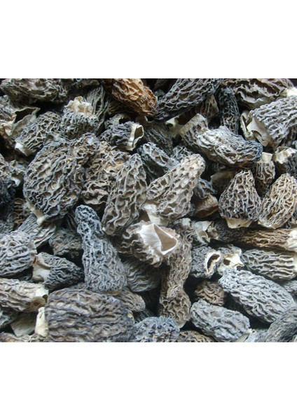 Kurutulmuş Kuzugöbeği 250 gr