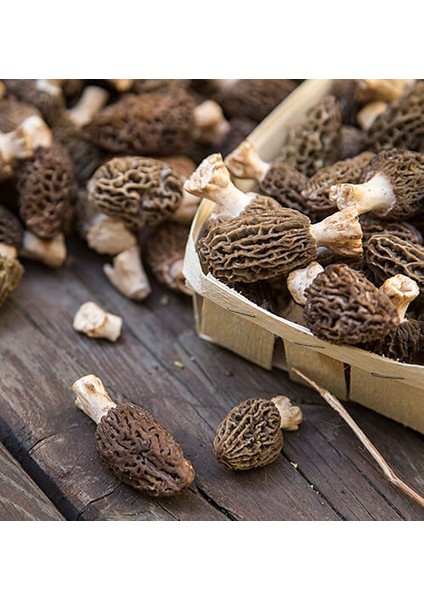 Kurutulmuş Kuzugöbeği 250 gr