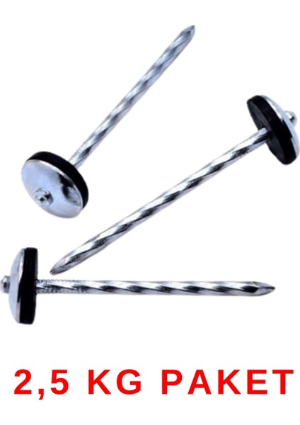 Galvaniz Başlı Çatı Çivisi 10 cm Kırmızı 2,5 kg