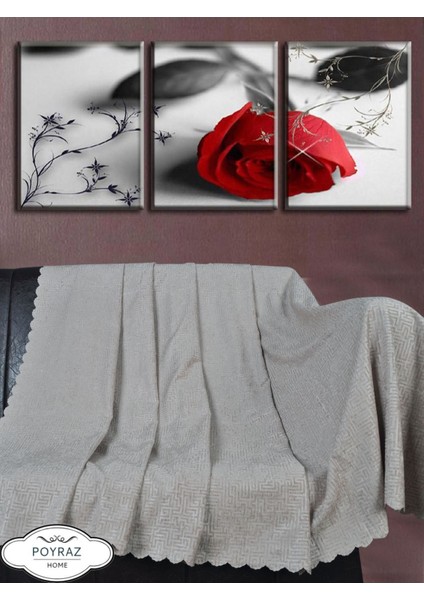 Parlak Desenli Şönil Bej Çift Taraflı Koltuk Çekyat Örtüsü Şalı