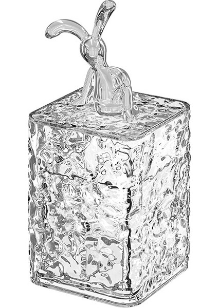 Ev Toz Geçirmez Kürdan Pamuklu Çubuk Saklama Kutusu (Yurt Dışından)