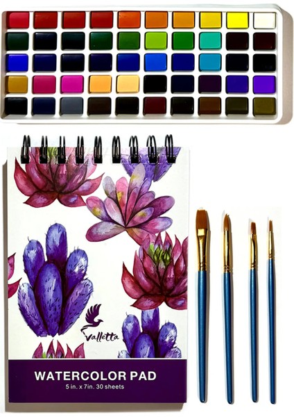 Padova 55'li Profesyonel Sulu Boya Seti