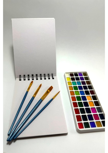 Padova 55'li Profesyonel Sulu Boya Seti modelleri