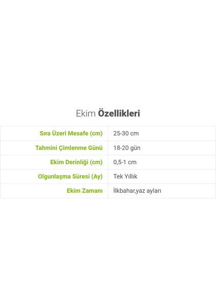 Sunagri Yeşil Reyhan Tohumu - Aromatik, Sinek Kovucu, Tek Yıllık, Bahçe ve Saksı İçin
