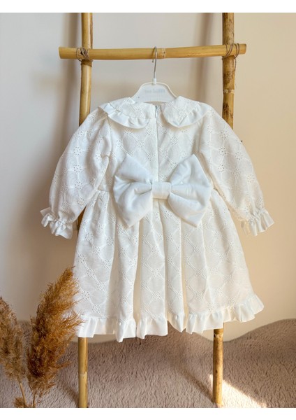 Kız Bebek Elbise Kız Çocuk Güpürlü Bebe Yaka Doğum Günü Parti Düğün Özel Gün Tüllü Astarlı Prenses Elbise ALY0280 modelleri