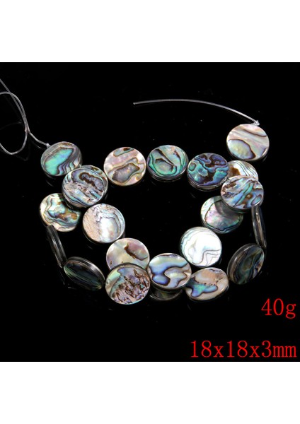 Doğal Gevşekler Türbin Şekiller Abalone Takı Yapımı Dıy Kolye 38 cm (Yurt Dışından)