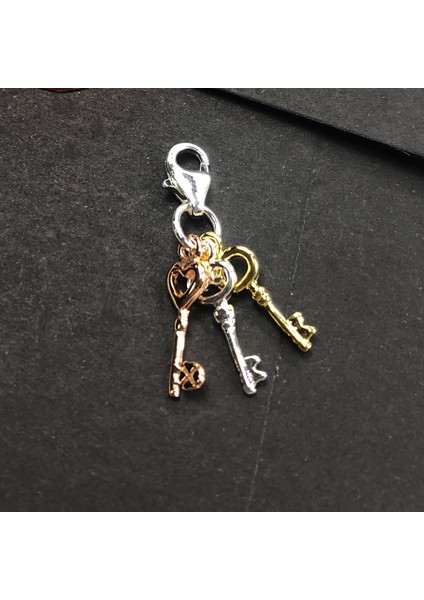 Moda Sıcak Renklerde Kolye Dangle Charm Kadınlar Için Yeni 925 Ayar Gümüş Romantik Takı Hediye (Yurt Dışından) fırsatları