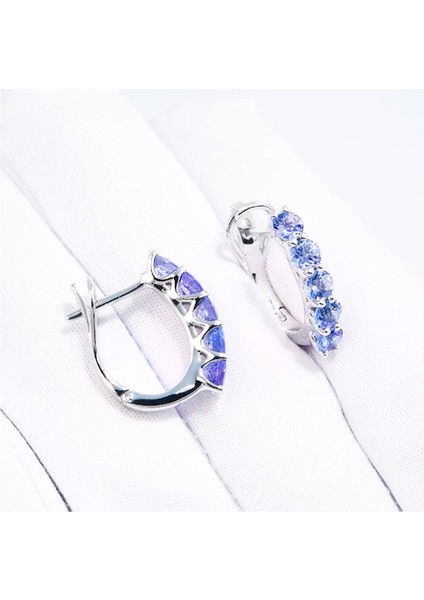 2mm Tanzanit 925 Ayar Gümüş Küpe Kübik Ozel Moda Takı (Yurt Dışından) fiyatları