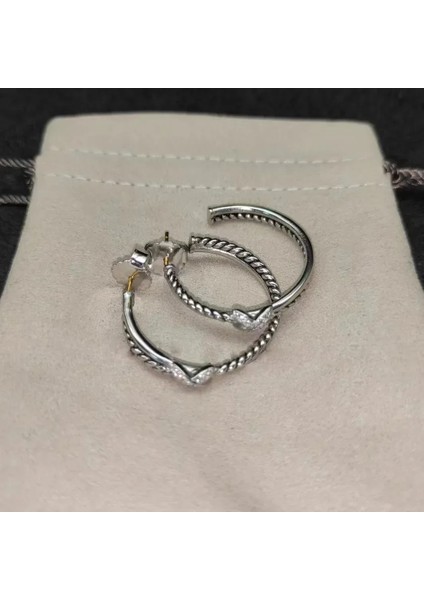 2024 Yeni Tüm Komple S925 Gümüş Dy Küpe Kadınlar Için. Seçimin Hediyesi Güzel (Yurt Dışından)