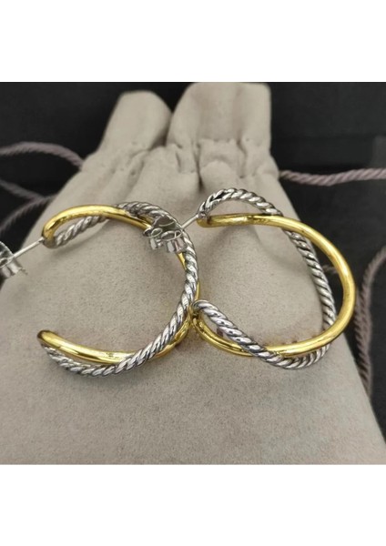 2024 Yeni Tüm Komple S925 Gümüş Dy Küpe Kadınlar Için. Seçimin Hediyesi Güzel (Yurt Dışından) modelleri