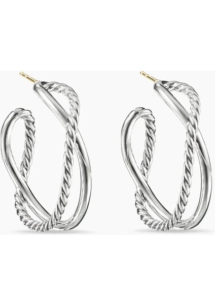 2024 Yeni Tüm Komple S925 Gümüş Dy Küpe Kadınlar Için. Seçimin Hediyesi Güzel (Yurt Dışından) fırsatları