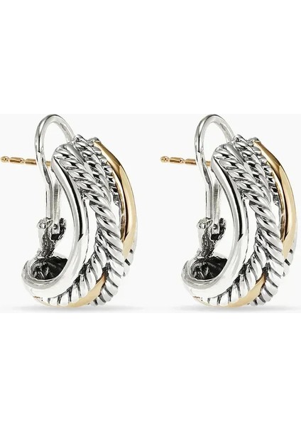 2024 Yeni Tüm Komple S925 Gümüş Dy Küpe Kadınlar Için. Seçimin Hediyesi Güzel (Yurt Dışından)