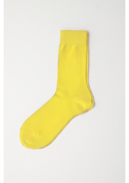 Erkek Family Soket Çorap Sarı