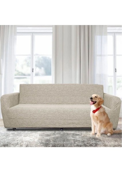 Lastikli Komple Geçirilen Koltuk Örtüsü Seti - 2 Adet 3'lü 2 Adet 1'li modelleri