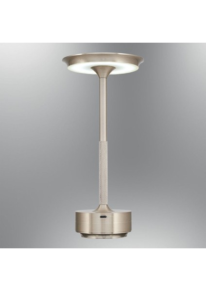 KRG3016-16 Dumbbell Taşınabilir Masa Lambası Gri