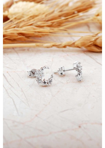 Taşlı Ay Yıldız Rodyumlu Mini Gümüş Küpe 7354 fiyatları