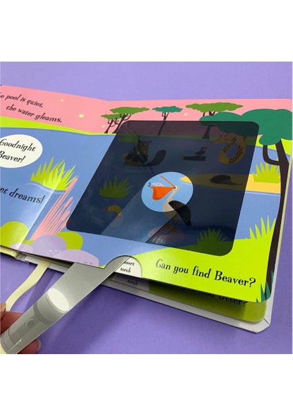 Goodnight Frog - A Magic Torch Book fırsatları