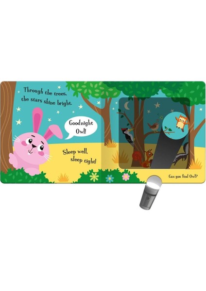 Goodnight Bunny - A Magic Torch Book fiyatları