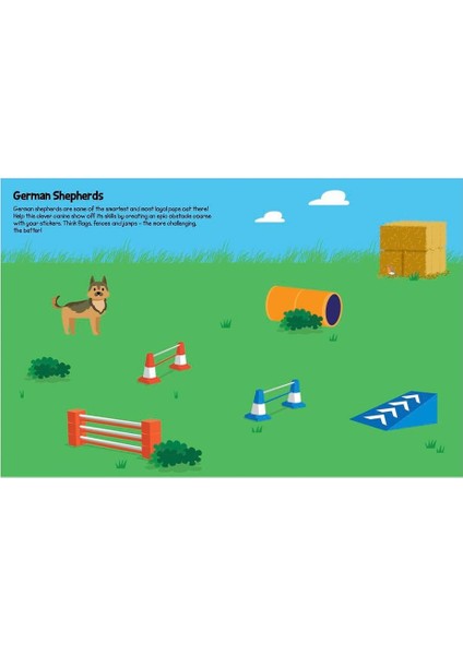 555 Sticker Fun - Cats And Dogs Activity Book fırsatları
