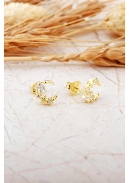 Taşlı Ay Yıldız Altın Kaplama Mini Gümüş Küpe 7355