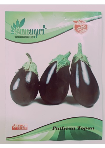 Topan Patlıcan Tohumu - Siyah Mor Renkli, Verimli, Sofralık ve Sanayiye Uygun