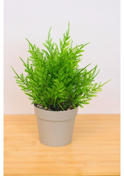 Dekoratif Saksılı Yapay Kuşkonmaz Çiçeği Bej 22 cm EVA-5822 C1-1-423