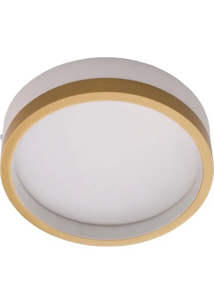 Plafonia Tavan Plafonyer LED Avize 20 cm 12 Watt