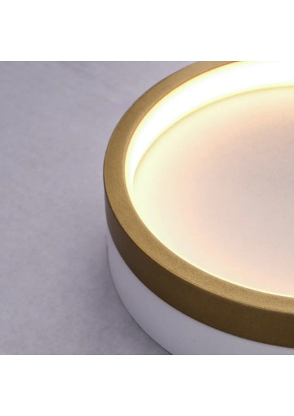 Plafonia Tavan Plafonyer LED Avize 20 cm 12 Watt