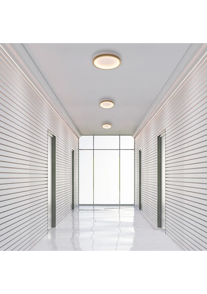Plafonia Tavan Plafonyer LED Avize 20 cm 12 Watt