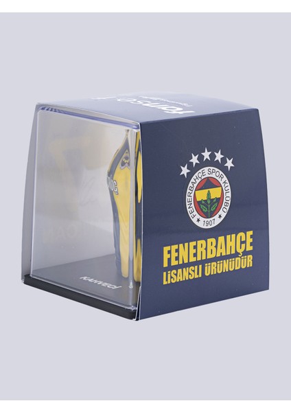 Irfan Can Kahveci Futbolcu