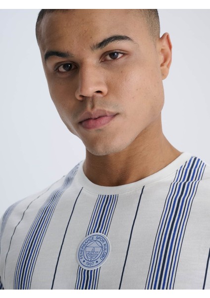 Erkek Trıbun Lacivert Çizgili Tshırt fırsatları