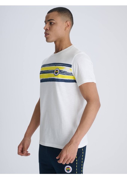 Erkek Trıbun Brush Şeritli Tshırt modelleri