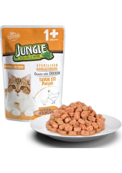 Kısır Kedi Tavuklu 100 G Pouch