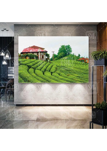 Rize Çeçeva Köyü Çay Bahçesi Karadeniz Çay Bahçesi Tarlası Yeşil Çay Ağacı Yatay Kanvas Tablo