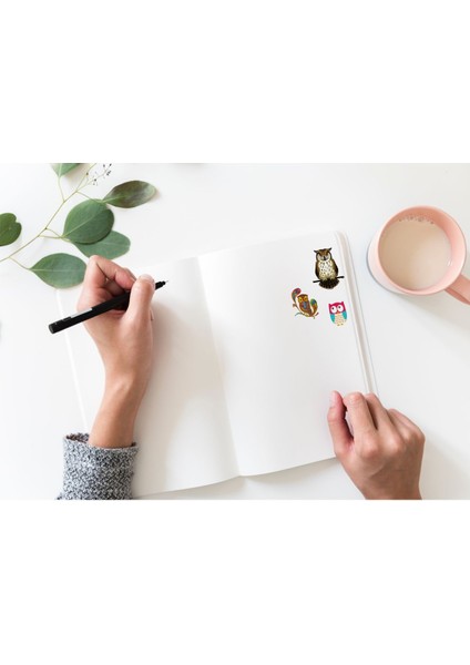 Baykuş Sticker Seti Planner Ajanda Bullet Journal Için Uygun Set fiyatları