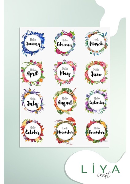 Aylar Sticker Set Ajanda Bullet Journal Için Uygun Set
