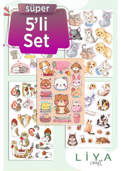 5'li Sevimli Kedi Sticker Set