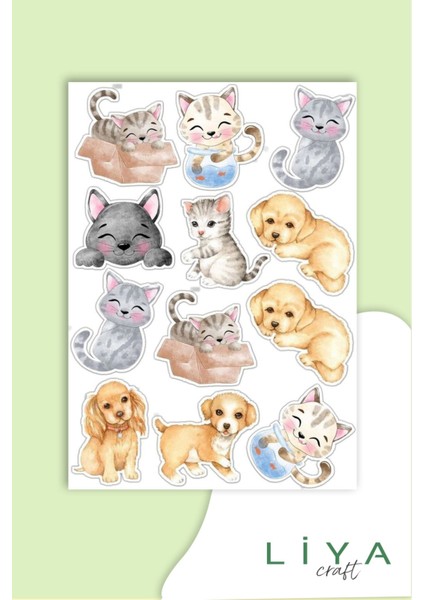 5'li Sevimli Kedi Sticker Set
